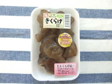 ֤ΤSATO״פ餲